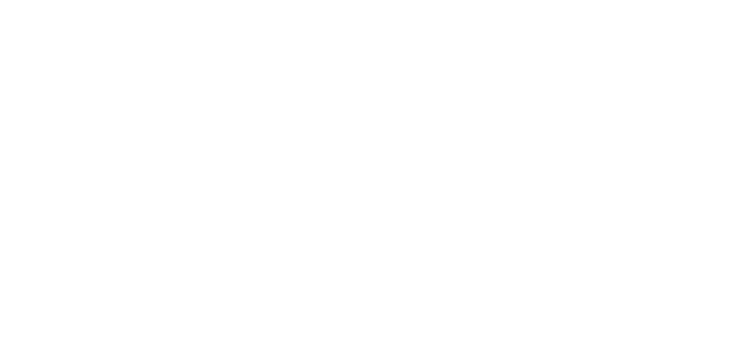 BDC_Logo_wht