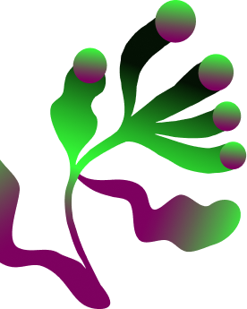 COMPLICES_Blob_04