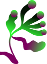HOME_Blob_02(1)