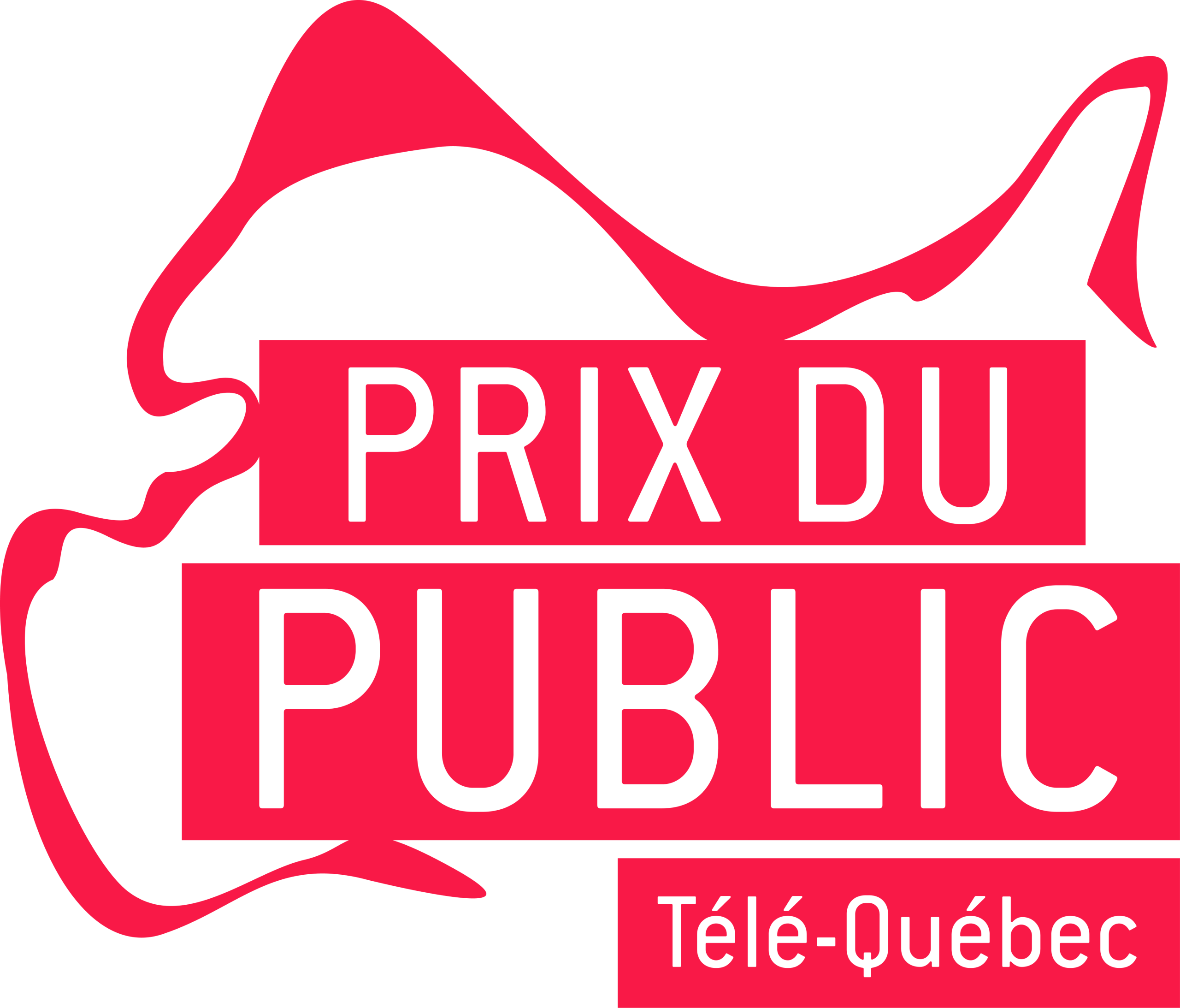 PASTILLE PRIX PUBLIC